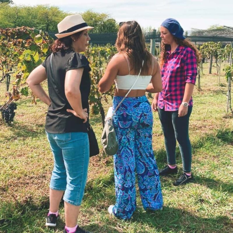 Enjoy a Rural Experience in a Vineyard near Buenos Aires - Final Thoughts