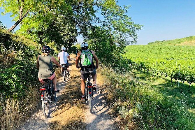 Enjoy a Wine Tasting after a cycling excursion in the magic of Tuscany - Key Points