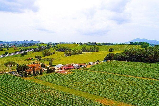 Enjoy a Wine Tasting after a cycling excursion in the magic of Tuscany - In-Depth Review of the Tuscany Cycling and Wine Tasting Tour