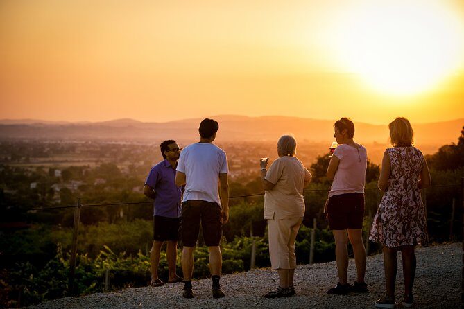 Enjoy and Taste the Flavors of Wine in an Open-air Venue - Key Points