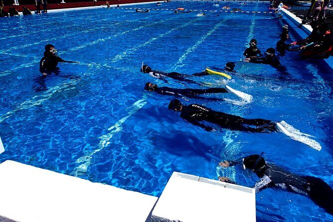 Enjoy Diving In Izu Discover Scuba Diving for Nondiver - FAQ