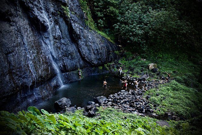 Enjoy Moorea Day Tour - Frequently Asked Questions