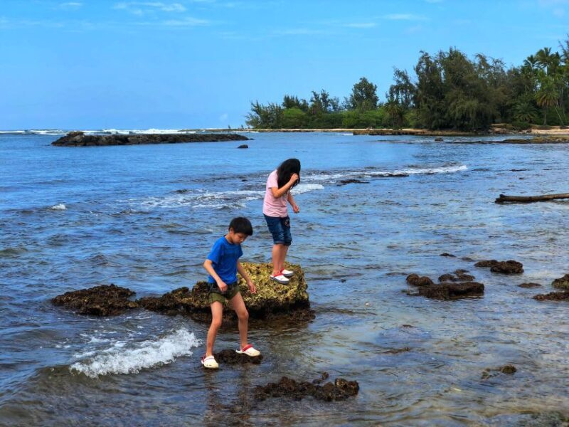 Enjoy Private Professional Photo Tour in Honolulu Island - Exploring the Details: What You Can Expect