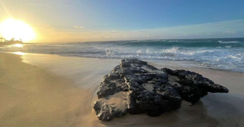 Enjoy Private Professional Photo Tour in Honolulu Island - Breaking Down the Itinerary