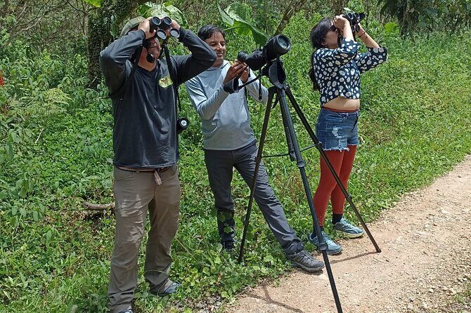 Enjoy The Beauty Of The Birds Of The Northwest - Key Points