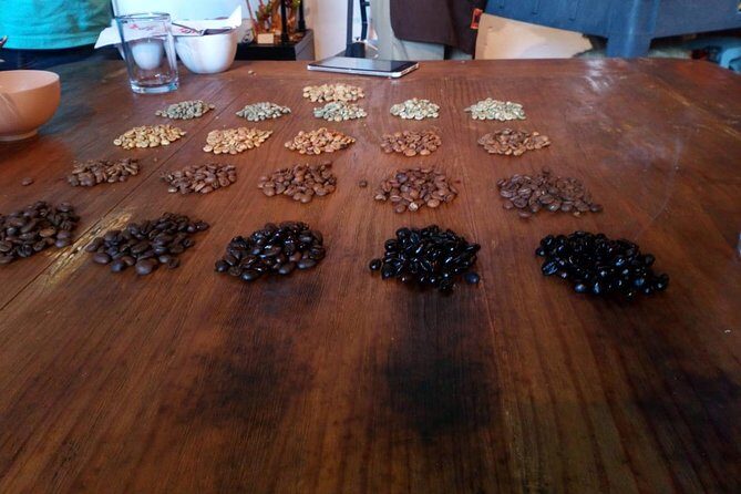 Enjoy the coffee route in Coatepec Magical Town - FAQs About the Coatepec Coffee Tour