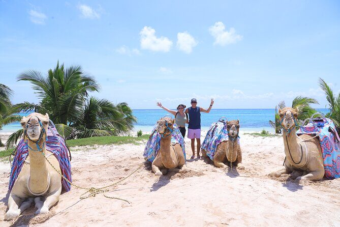ENJOY UNIQUE CAMEL RIDE in Puerto Morelos with Transportation - Key Points