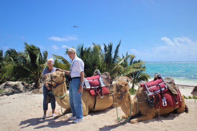 ENJOY UNIQUE CAMEL RIDE in Puerto Morelos with Transportation - Final Thoughts