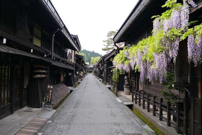 Enjoyable One day Bus Tour From Nagoya - Who Should Consider This Tour?