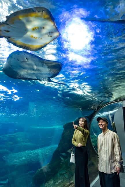 Enoshima Aquarium: Admission Ticket - Key Points