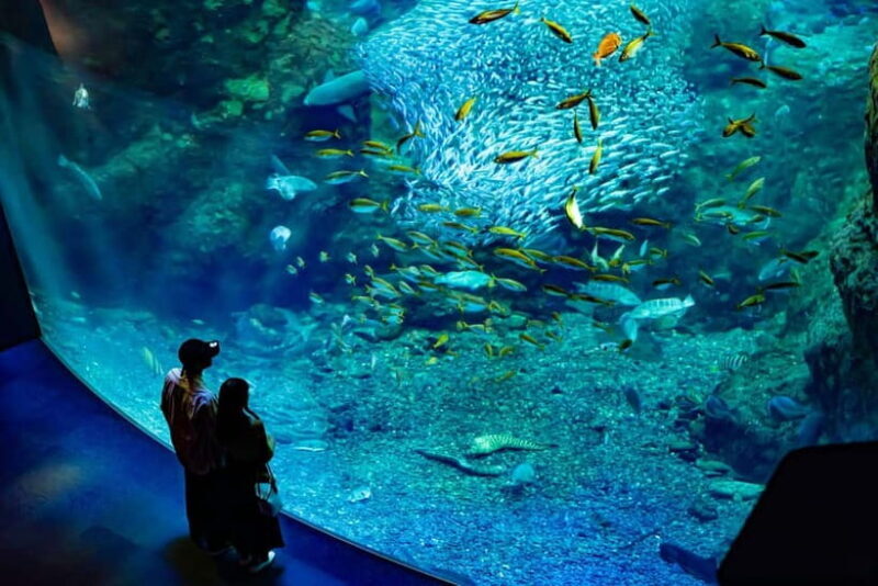Enoshima Aquarium: Admission Ticket - The Sum Up: Is the Enoshima Aquarium Worth It?