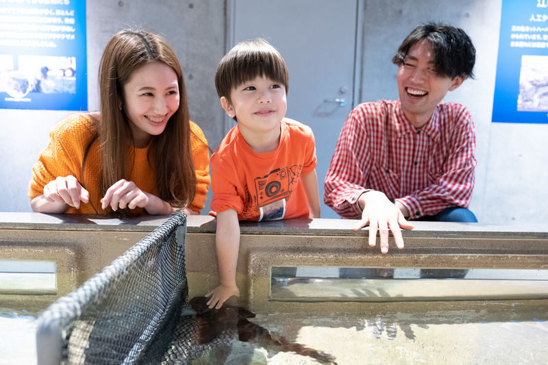 Enoshima Aquarium Ticket in Fujisawa - Slow down in the jellyfish rooms