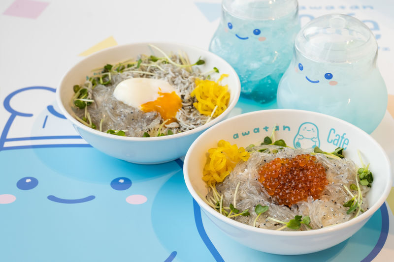 Enoshima Aquarium Ticket in Fujisawa - Make time for the dolphin show
