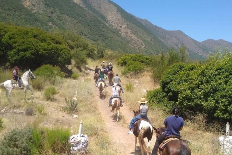 Ensenada: Bajas Hidden Trails: Horseback Ride w/ Ocean View - Key Points