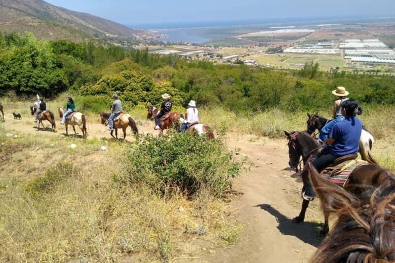 Ensenada: Bajas Hidden Trails: Horseback Ride w/ Ocean View - What to Know Before You Go