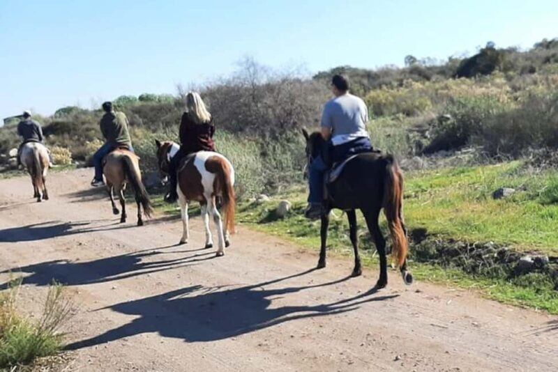 Ensenada: Bajas Hidden Trails: Horseback Ride w/ Ocean View - Authentic Baja in Every Step