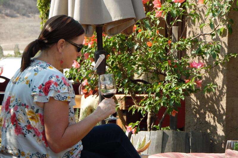 Ensenada: Guadalupe Valley Wine Route Private Tour - Ensenada: Guadalupe Valley Wine Route Private Tour — A Practical Guide for Wine Lovers