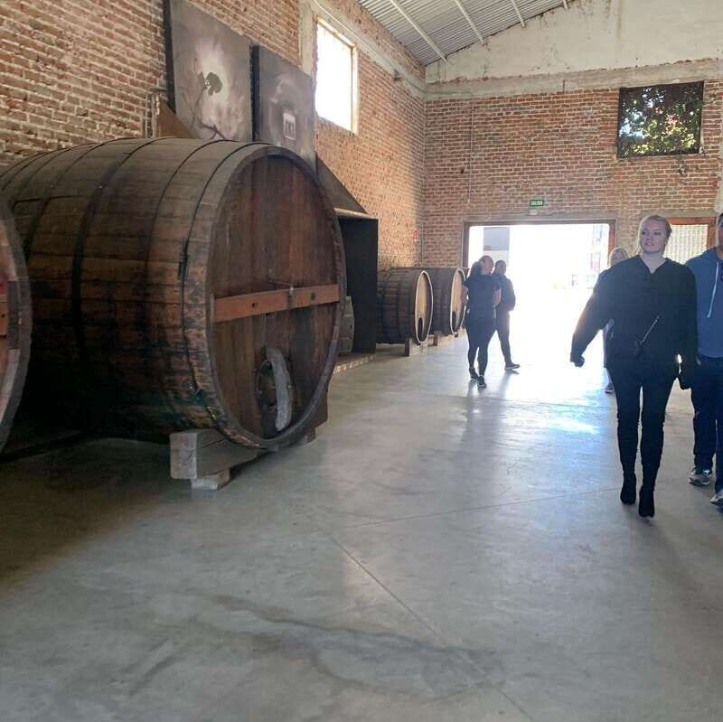 Ensenada: Guided City Highlights Tour with Margarita Tasting - Key Points