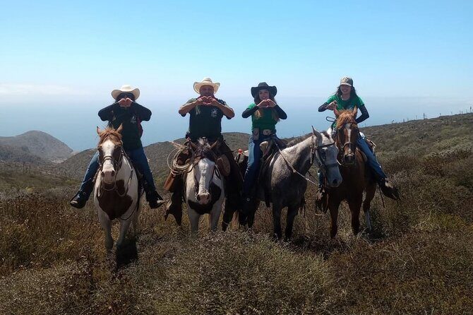 Ensenada Horseback Riding Adventure with Local Guide - Who Will Enjoy This Tour?
