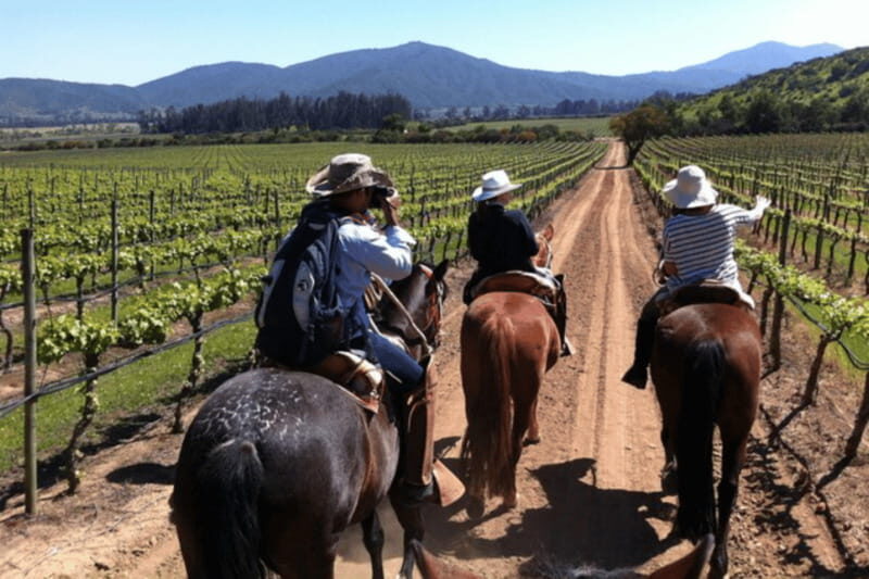 Ensenada: Horseback Riding at the Vineyards - Value and Booking Considerations