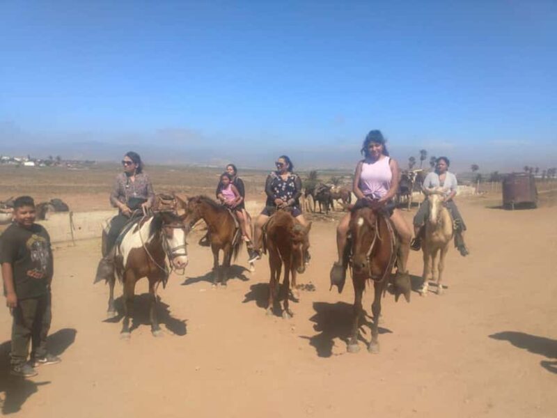 Ensenada: La Bufadora and Playa Hermosa Horseback Riding - A Thorough Breakdown of the Itinerary