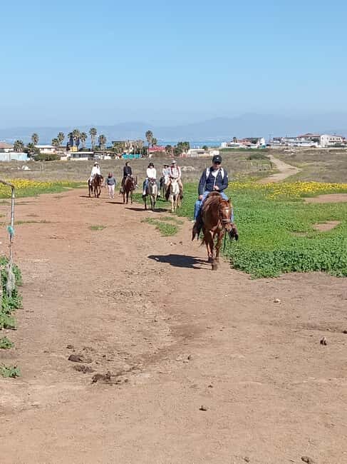 Ensenada: La Bufadora and Playa Hermosa Horseback Riding - Why This Tour Offers Good Value
