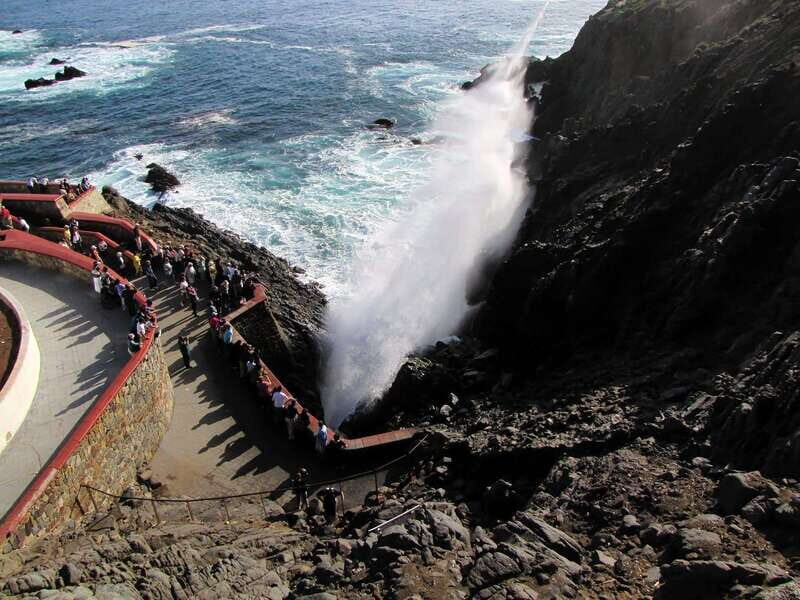 Ensenada: La Bufadora Guided Tour with Tequila Tasting - Who Will Enjoy This Tour?
