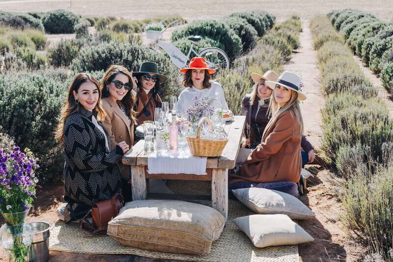 Ensenada: Picnic in Lavender Fields at Aires de Lavanda - Key Points