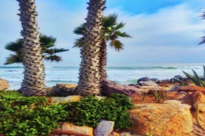 Ensenada Shore Excursion: City Tour & La Bufadora - Does This Tour Offer Good Value?