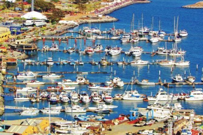 Ensenada Shore Excursion: City Tour & La Bufadora - Who Should Book This Tour?