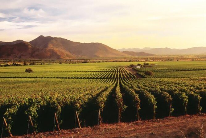 Ensenada Shore Excursion: Entre Santos and El Cielo Winery Tours with Lunch - A Deep Dive into the Ensenada Winery Tour Experience
