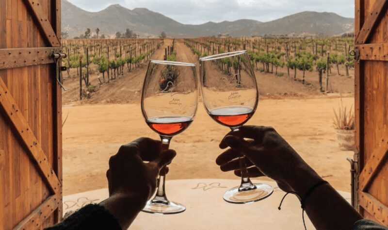 Ensenada: Valle de Guadalupe Wine Tasting Tour - Who Will Love This Tour?