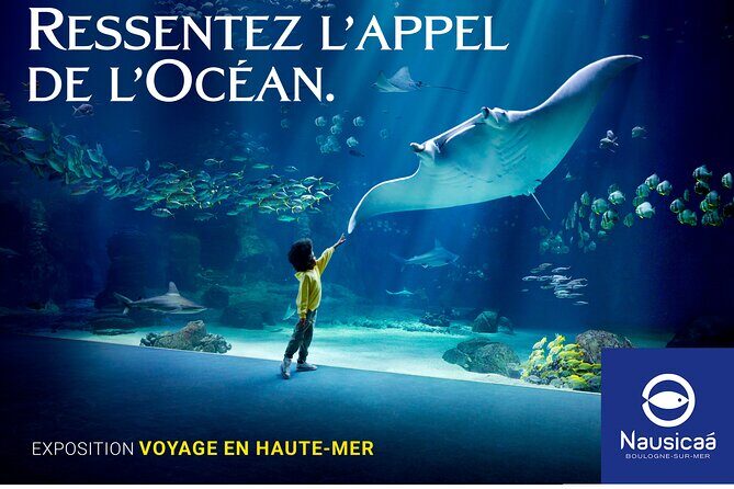 Entrance Ticket Nausicaa, the biggest aquarium in Europe - Who Will Love Nausicaá?