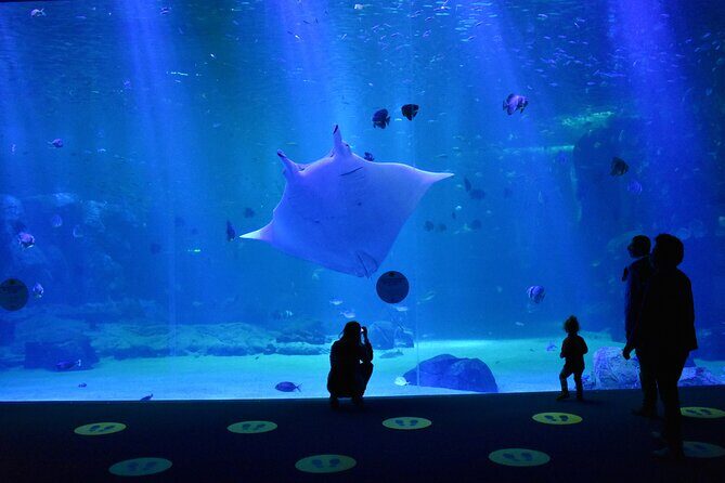 Entrance Ticket Nausicaa, the biggest aquarium in Europe - FAQ