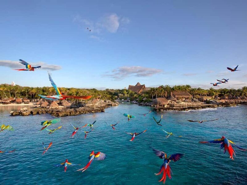 Entrance to Xcaret Adventure Park - Final thoughts: Is it worth it?