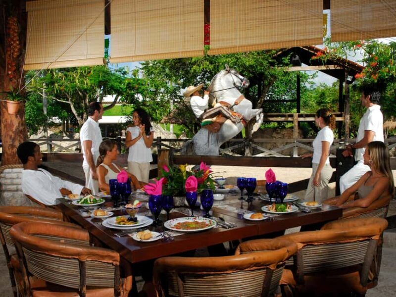 Entrance to Xcaret Park with access to the night show included. - Experience the Magic of Xcaret Park in Riviera Maya