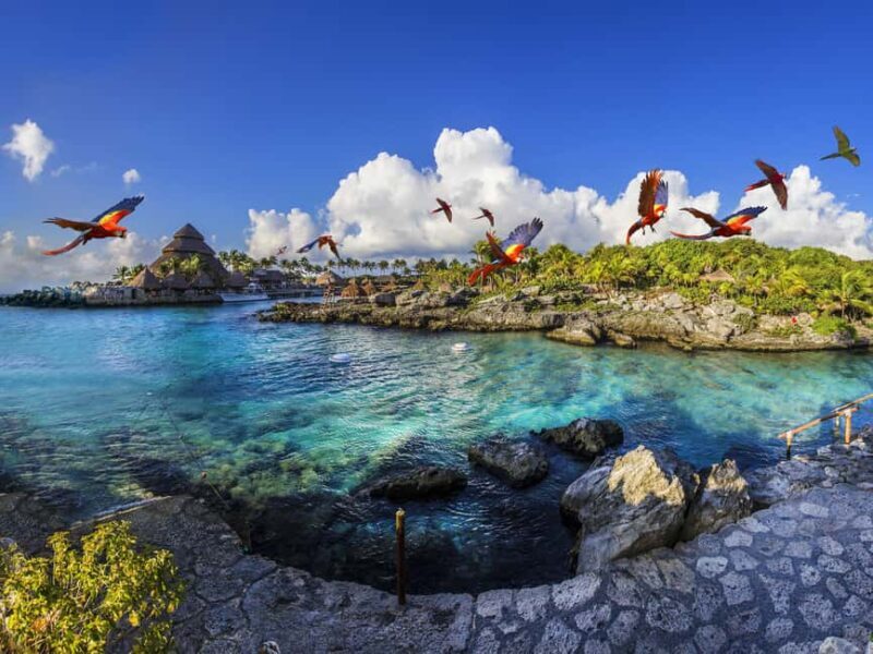 Entrance to Xcaret Park with access to the night show included. - Practical Tips for Your Visit