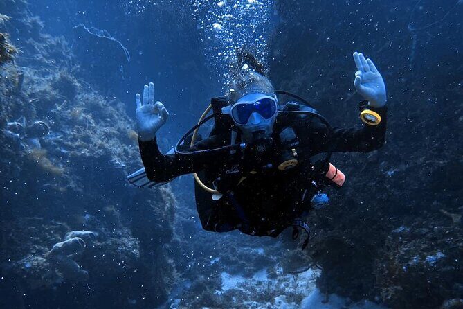 Entry Level PADI Course Discovery Scuba Dive - Potential Drawbacks and Considerations