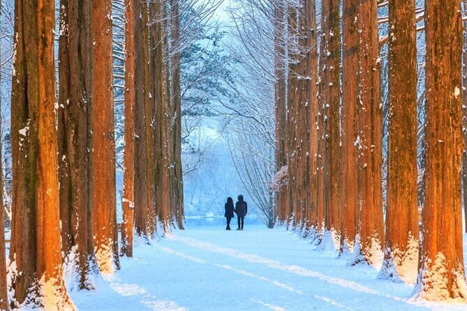 Eobi Ice Valley Nami Island and Gangchon Rail Park Seoul - A Full-Day Adventure: Exploring Nami Island, Eobi Ice Valley, and Gangchon Rail Park from Seoul