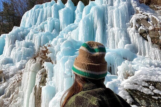 Eobi Ice Valley Nami Island and Gangchon Rail Park Seoul - An In-Depth Look at the Tour Experience