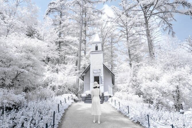 Eobi Ice Valley, Nami Island, Morning Calm and Rail Bike Seoul - Key Points