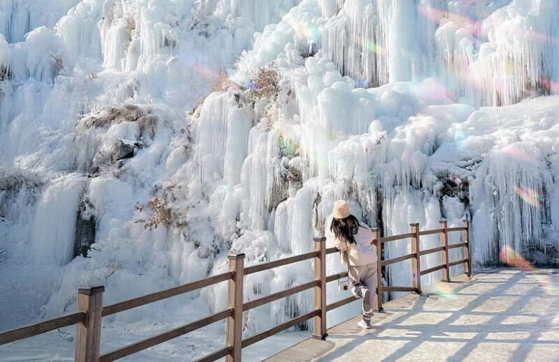Eobi Ice Valley & Nami (+ Light Festival, Railbike, Alpaca) - Key Points