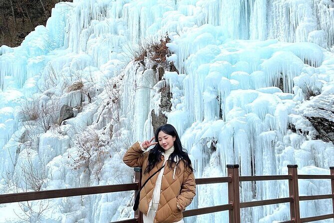 Eobi Ice Wall & Nami Island & Morning Calm Light Festival - Who Is This Tour Best For?