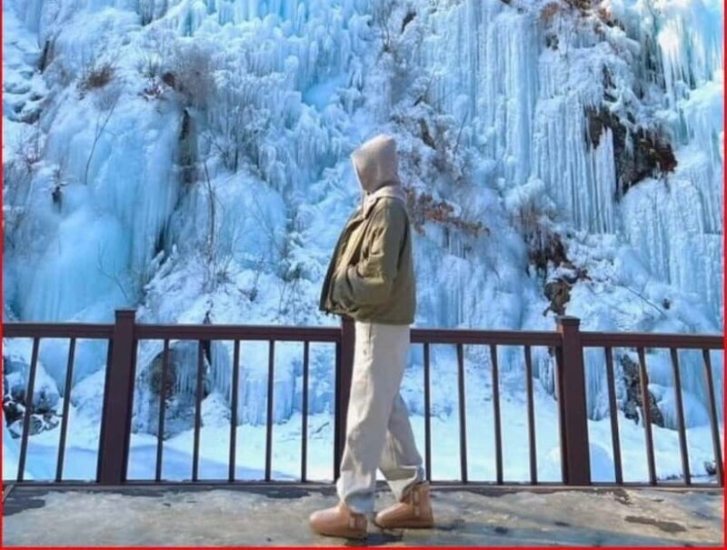 Eobi Valley, Sledding, Strawberry Picking, and Sheep Ranch - Eobi Valley, Sledding, Strawberry Picking, and Sheep Ranch: A Practical Guide to Korea’s Winter Wonderland