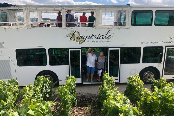 Epernay and Vineyards with Champagne Tasting - Who Would Love This Tour?