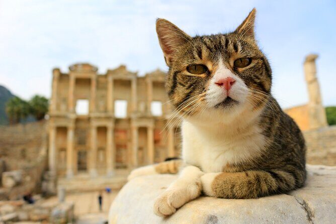 Ephesus w/ Guiding & Private Van From Kusadasi Port - FAQ