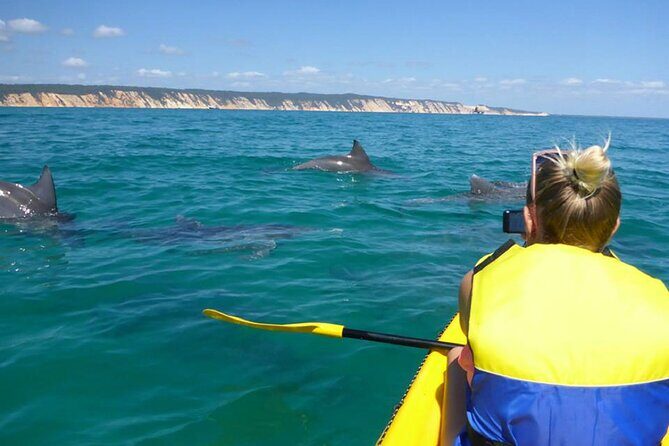 Epic Kayak With Dolphins & Wildlife - 4WD Beach Adventure Noosa - Epic Kayak With Dolphins & Wildlife - 4WD Beach Adventure Noosa: A Complete Review
