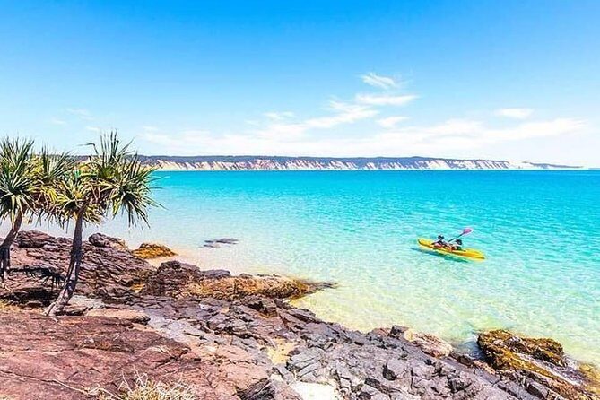 Epic Kayak With Dolphins & Wildlife - 4WD Beach Adventure Noosa - Scenic Highlights and Other Activities
