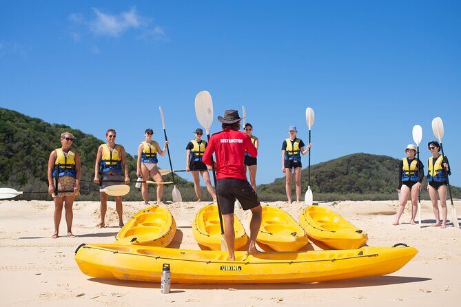 Epic Kayak With Dolphins & Wildlife - 4WD Beach Adventure Noosa - The Sum Up: Is This Tour Worth It?