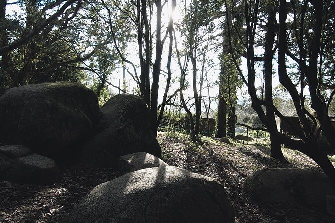 Epic Off-Road Adrenaline in Sintra - The Sum Up